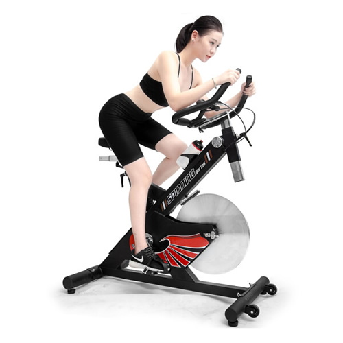 雷克P40800家用動(dòng)感單車(chē)圖1