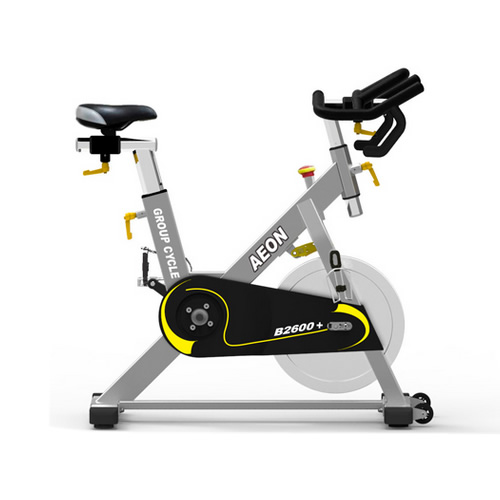 正倫B2600商用動(dòng)感單車圖2