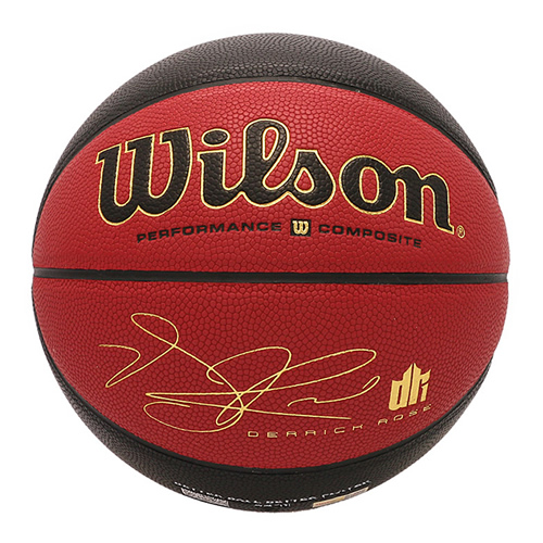 威爾勝羅斯少年版5號(hào)籃球