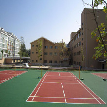 利達(dá)硅pu籃球場(chǎng)地坪材料硅pu籃球場(chǎng)地坪漆施工湖南硅pu球場(chǎng)材料廠家、硅PU球場(chǎng)效果設(shè)計(jì)價(jià)格、籃球場(chǎng)包工包料施工