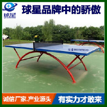 精品推薦學校體育器材,體育器材、全國就選東莞長安球星體育器材