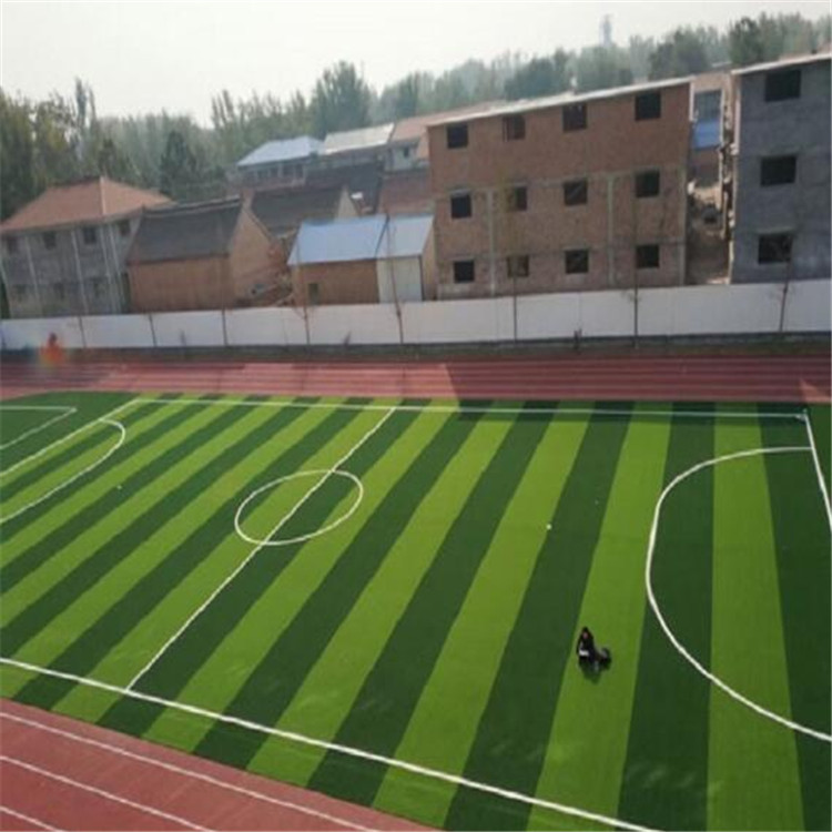 泰州足球場(chǎng)人造草坪,人造草坪操場(chǎng),戶外人造草坪