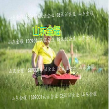 北京利達(dá)環(huán)保無(wú)毒丙烯酸球場(chǎng)材環(huán)保 體育設(shè)施材料 硅pu球場(chǎng)塑膠跑道老人院健身體育器材 體育游樂設(shè)施 體育健身器材供應(yīng)商